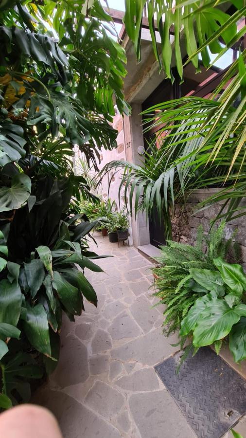 Cho Almeida Vega de San Mateo Exterior photo